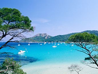 les activités team building à Porquerolles