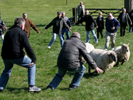 Séminaire entreprise Irlande