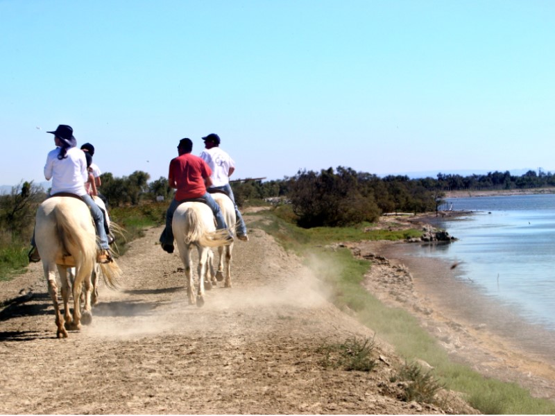 séminaire entreprise camargue