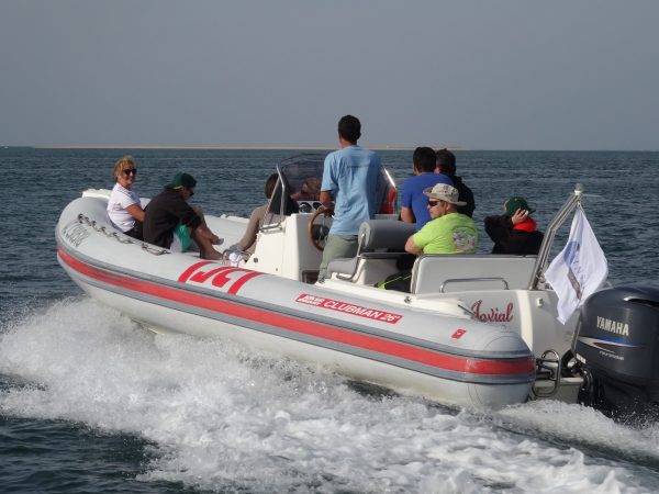 séminaire challenge nautique cohésion Bassin d'Arcachon - Cap Ferret - Banc d'Arguin - Ile aux Oiseaux