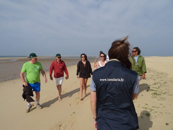 team building activités terrestres insularis séminaire olympiades beach party dune Bassin d'Arcachon - Cap Ferret - Banc d'Arguin - Ile aux Oiseaux