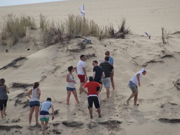 séminaire randonnée pédestre dune Bassin d'Arcachon - Cap Ferret - Banc d'Arguin - Ile aux Oiseaux