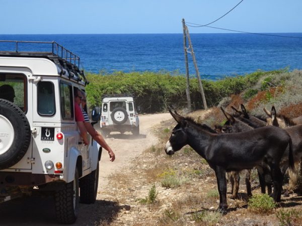 sortie randonnée jeep corse séminaire teambuilding incentive