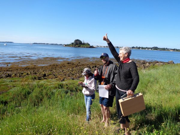 chasse au trésor teambuilding golfe du morbihan Ile aux Moines - Ile d'Arz séminaire d'entreprise