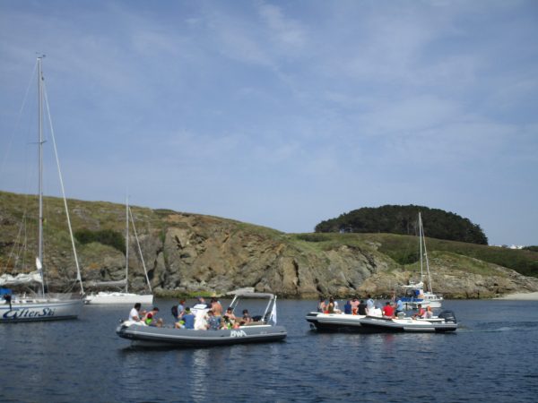 team buidling rallye semi-rigide zodiac challenge nautique belle ile