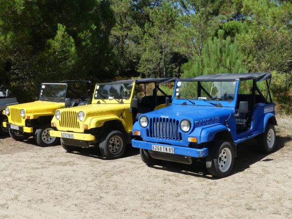 insularis agence événementielle rallye méhari ile d'yeu activité teambuidling cohésion séminaire entreprise