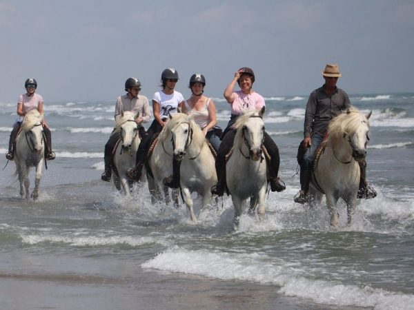 Séminaire en Camargue