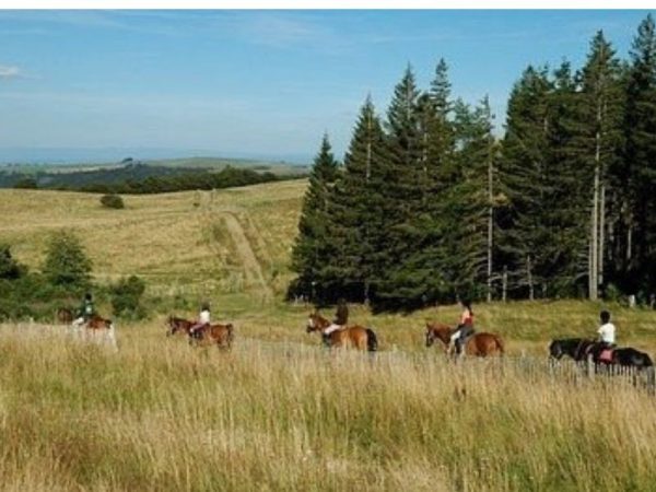 Séminaire Auvergne cheval