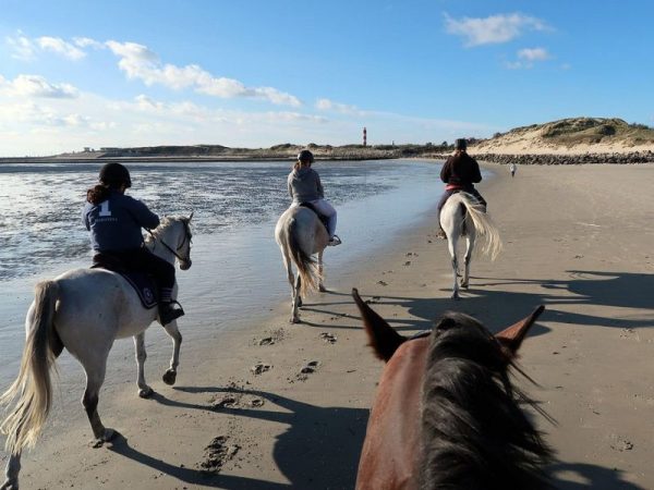 séminaire cabourg