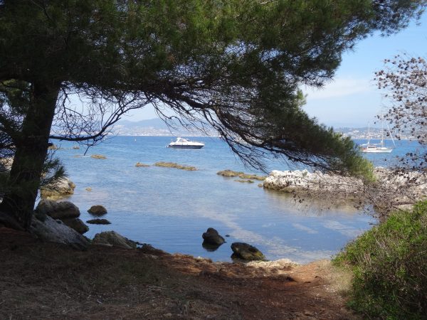 séminaire entreprise teambuilding incentive cannes iles de lerins ile sainte marguerite ile saint honorat