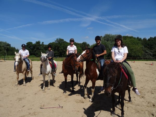 équitation cheval poney activité teambuilding la baule guerande ile du met séminaire entreprise