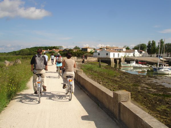 séminaire teambuilding rallye vélo ile de ré la rochelle