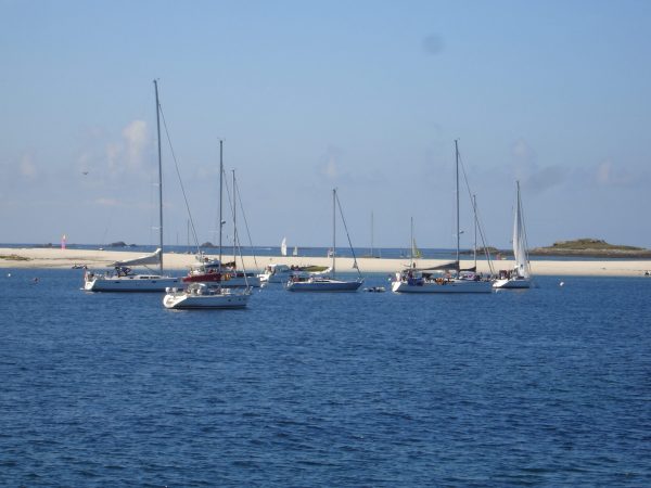 régate croisière teambuiding séminaire entreprise agence insularis