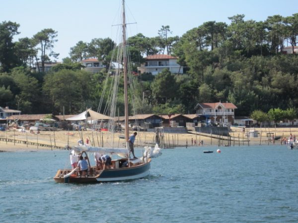 séminaire teambuilding incentive croisière d'entreprise Bassin d'Arcachon - Cap Ferret - Banc d'Arguin - Ile aux Oiseaux