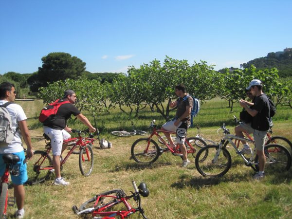 teambuilding rallye vélo vignoble Ile de Porquerolles - Ile Port-Cros - Ile du Levant