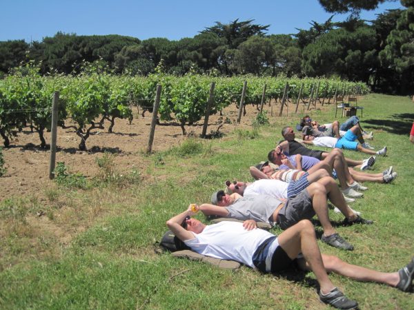 teambuilding randonnée vignoble dégustation Ile de Porquerolles - Ile Port-Cros - Ile du Levant