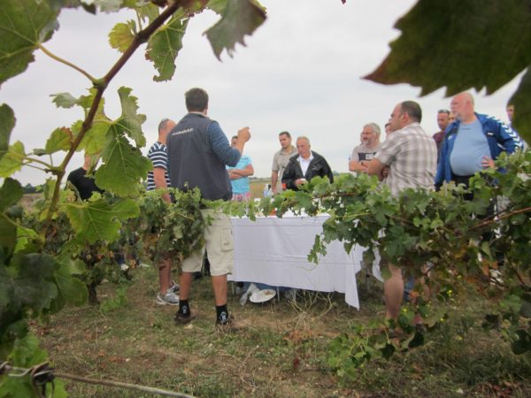 rallye vélo gastronomique ile de ré la rochelle teambuilding séminaire