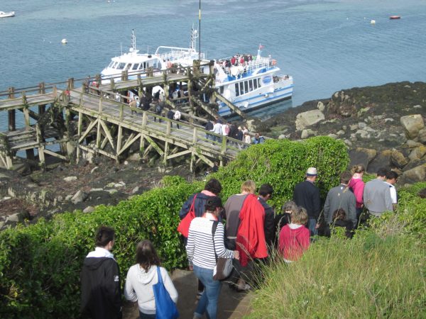 traversée en bateau arrivée iles chausey granville séminaire entreprise convention incentive