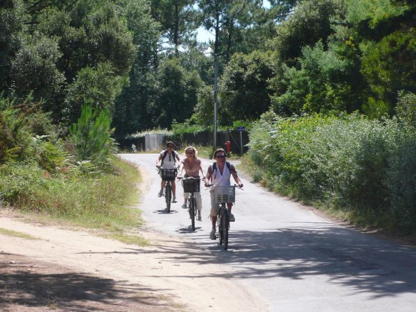 rallye vélo ile d'yeu teambuilding cohésion séminaire entreprise