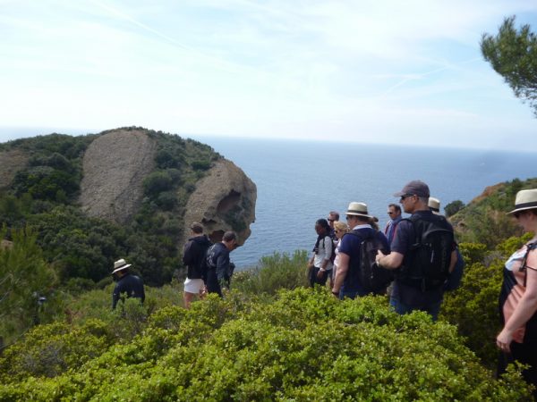 séminaire entreprise teambuilding randonnée pédestre Les Calanques - Marseille - Cassis - Iles Frioul