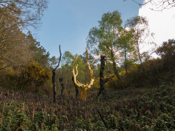 séminaire entreprise brocéliande