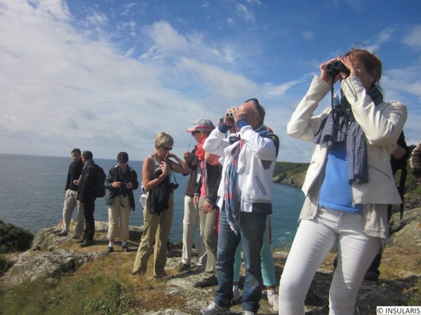 randonnée visite découverte ile tatihou séminaire teambuilding