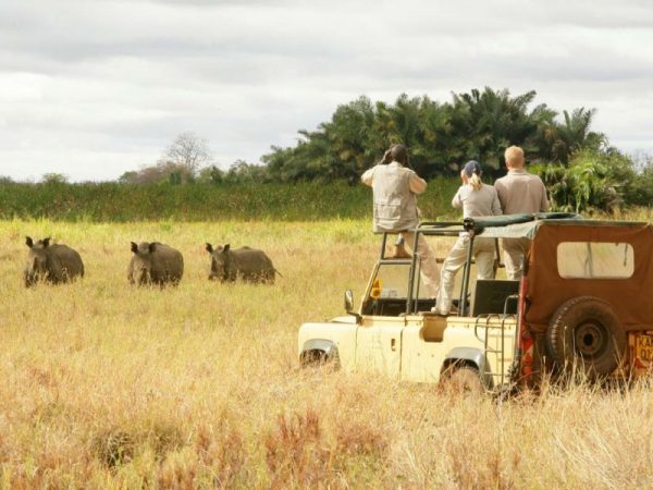 Séminaire entreprise safari
