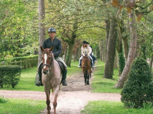 seminaire entreprise touquet